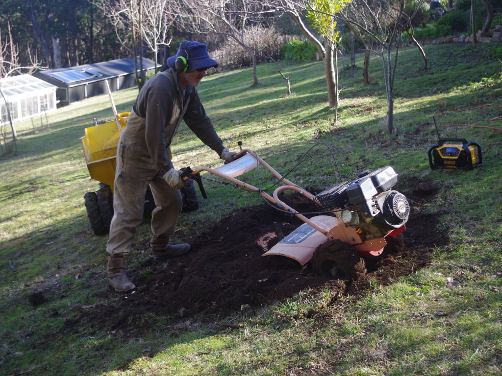 Using the scary old roto-tiller to dig a ten foot long swale