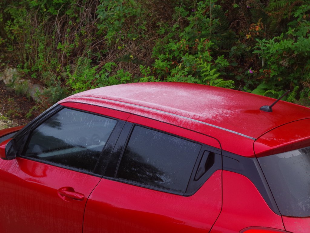 The first light frost of the year