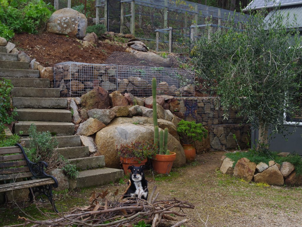 Ruby admires the now full steel rock gabion cage